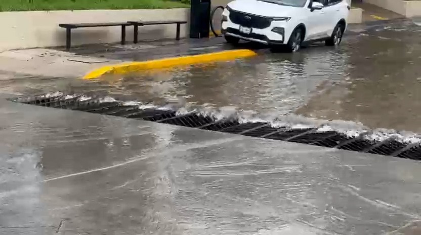 celebra rocha conclusion de carcamo en zona dorada de mazatlan sinaloa