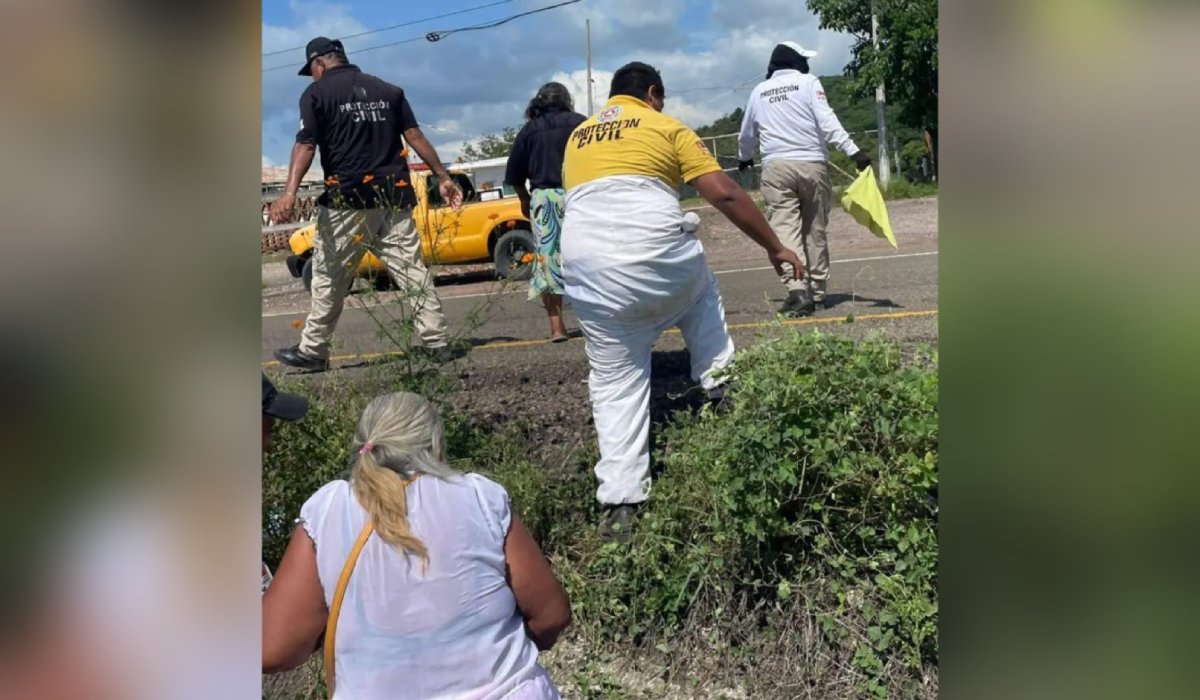 Comerciantes atacados por enjambre de abejas en Escuinapa, Sinaloa