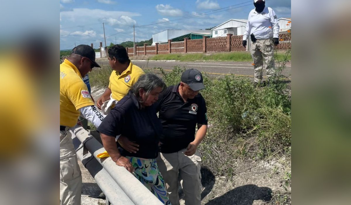 Comerciantes atacados por enjambre de abejas en Escuinapa, Sinaloa