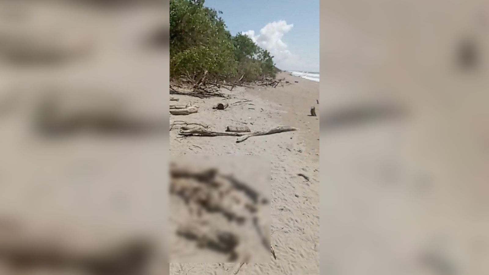 Cuerpo sin vida localizado en playa de Chametla en El Rosario, Sin.