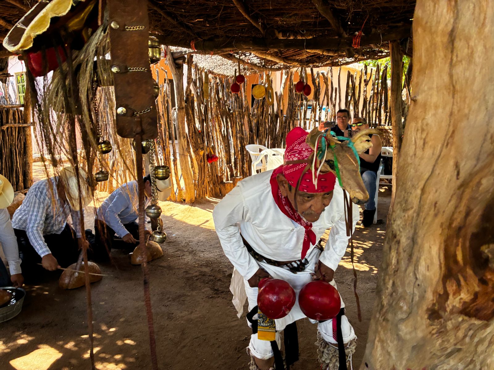 danza del venado