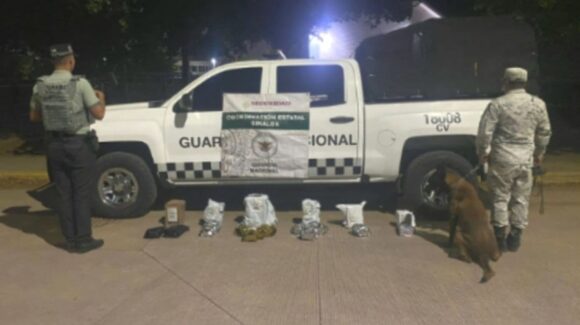 Aseguran mariguana y vapeadores al interior de una empresa de paquetería en Culiacán, Sinaloa