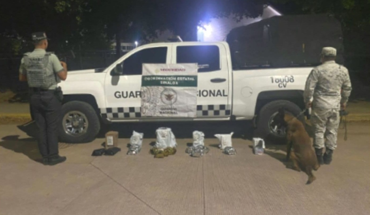 Decomisan droga y vapeadores en paquetería de Culiacán
