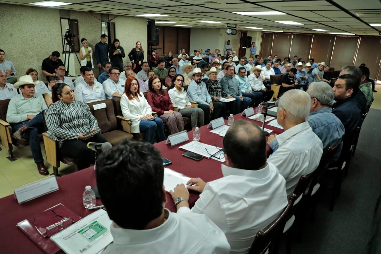 Definen superficie de siembra para el ciclo agrícola 2025-2026