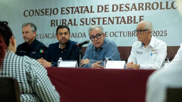 ¡Se sembrarán en Sinaloa 469 mil hectáreas de maíz! Aprueban superficie de siembra para el ciclo agrícola otoño-invierno 2025-2026