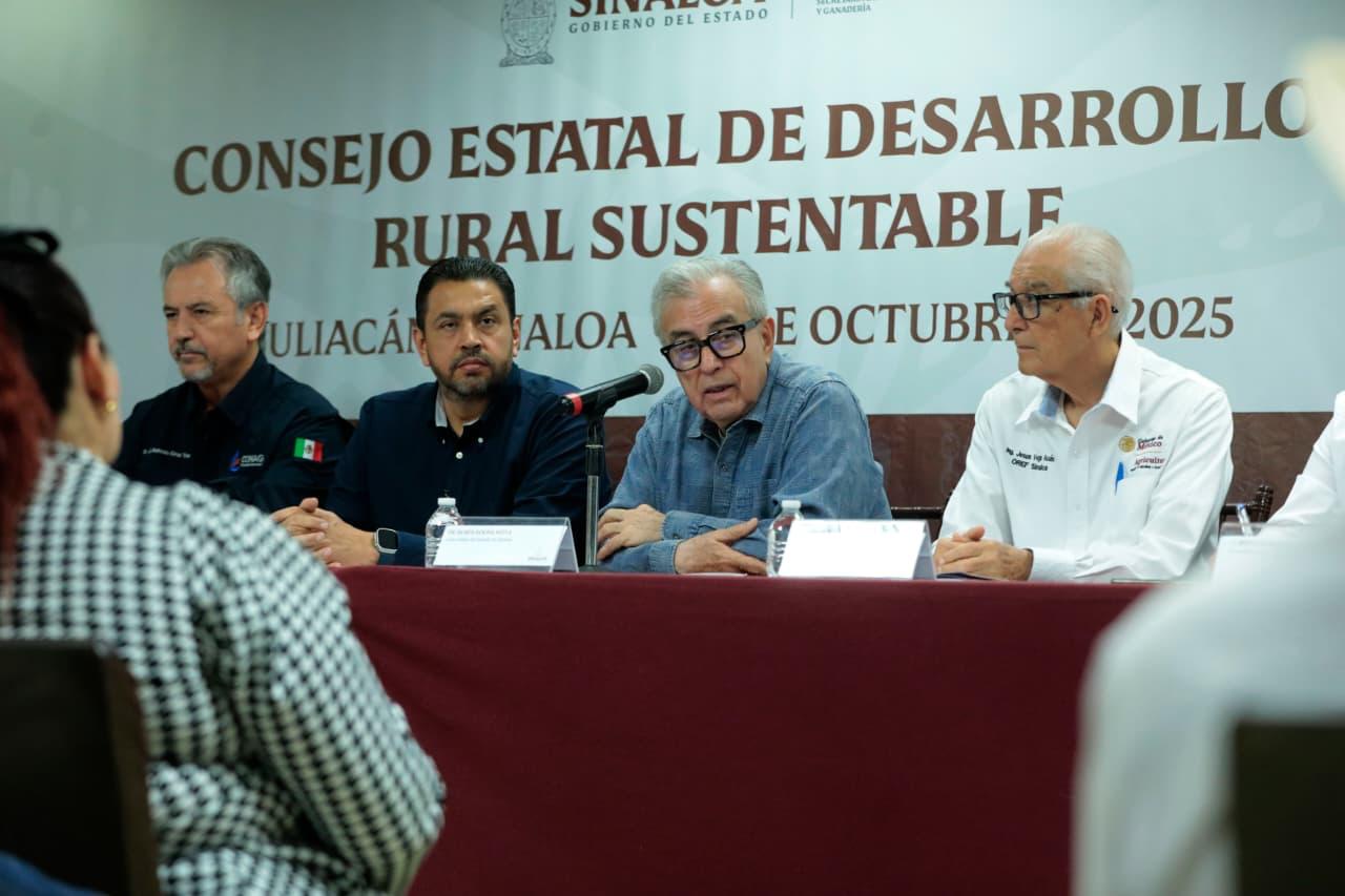 Definen superficie de siembra para el ciclo agrícola 2025-2026