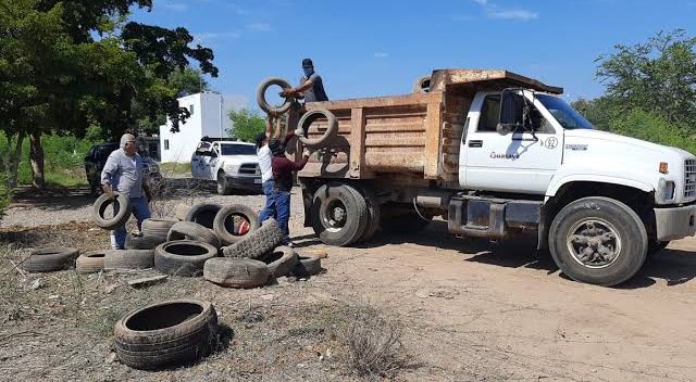 descacharrizacion en mazatlan sinaloa