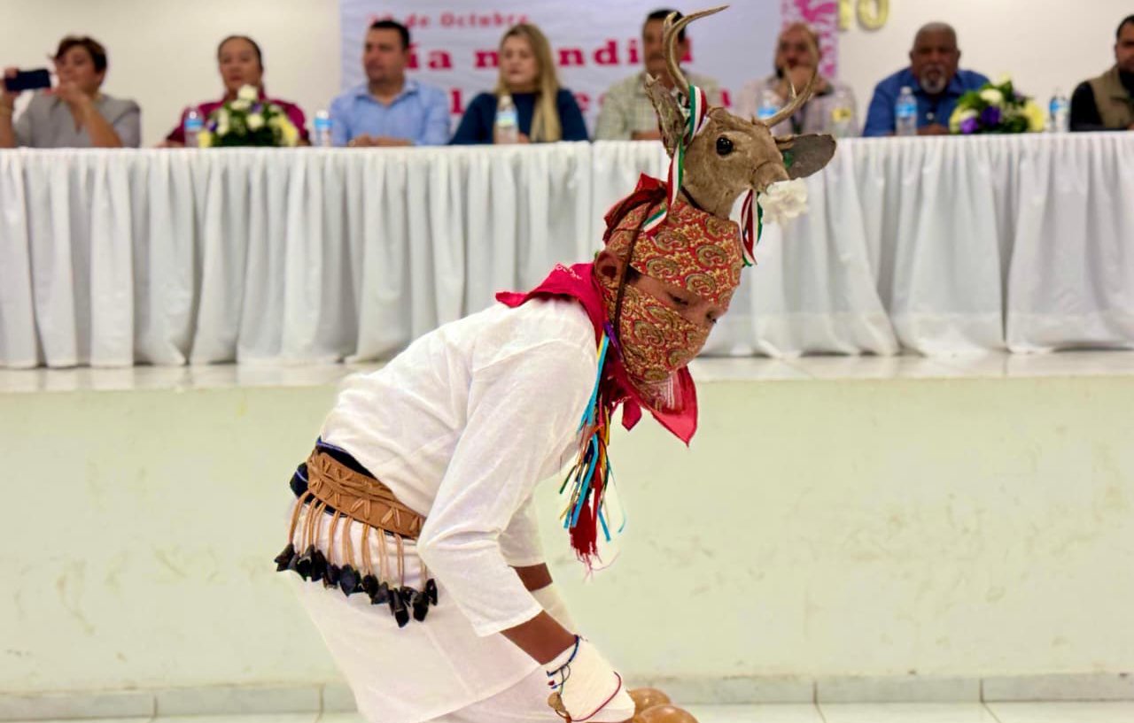 dia mundial de la medicina tradicional baile