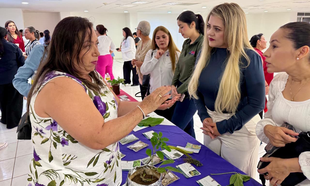 dia mundial de la medicina tradicional explican