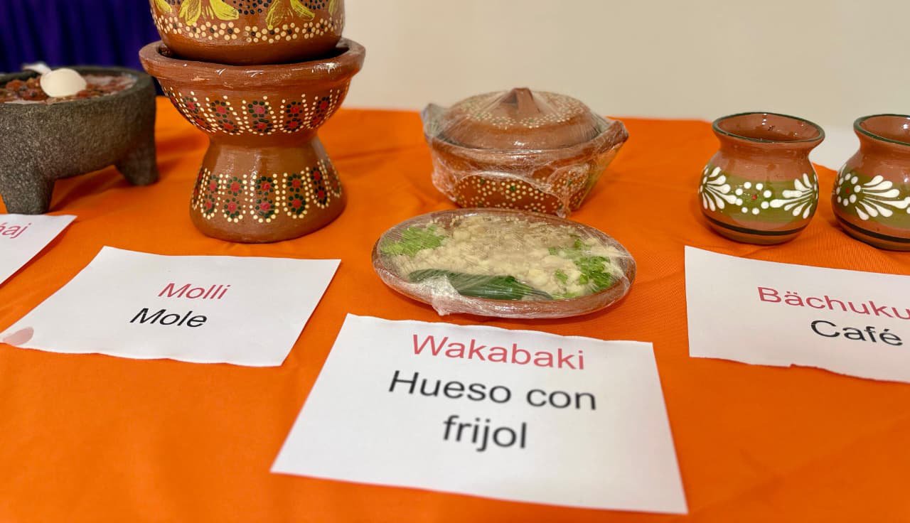 dia mundial de la medicina tradicional frijol