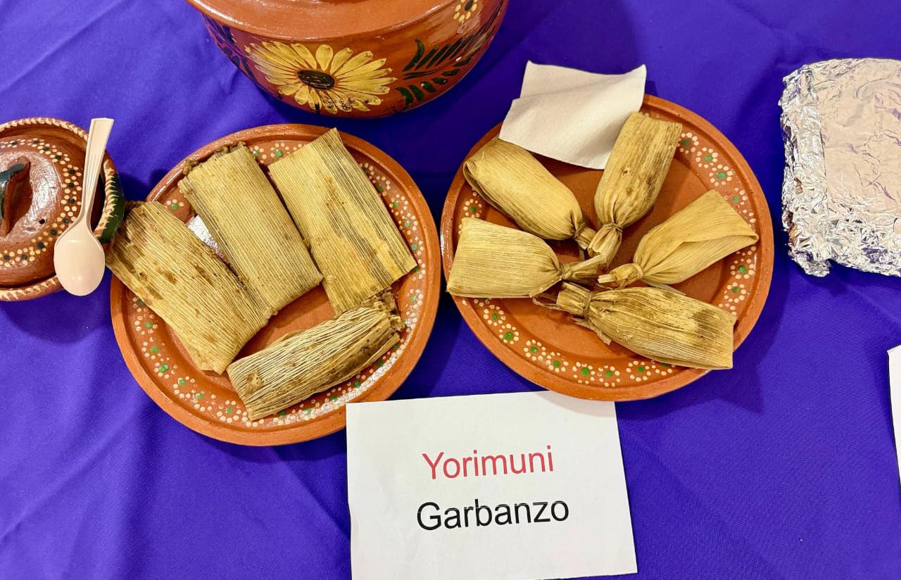 dia mundial de la medicina tradicional yorimuni