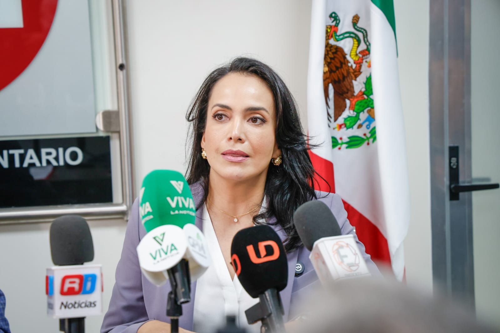 Diputada local por el PRI, Irma Moreno Ovalles