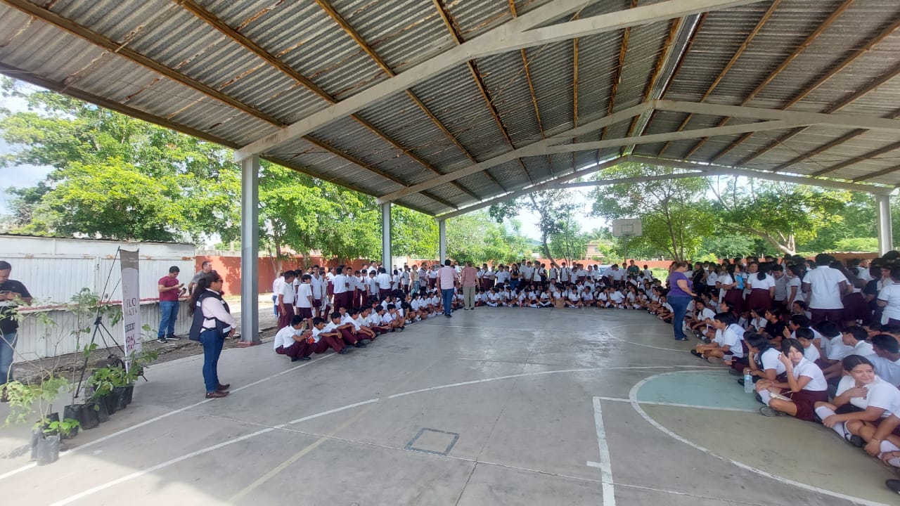 Donan árboles a secundaria de El Castillo, Mazatlán