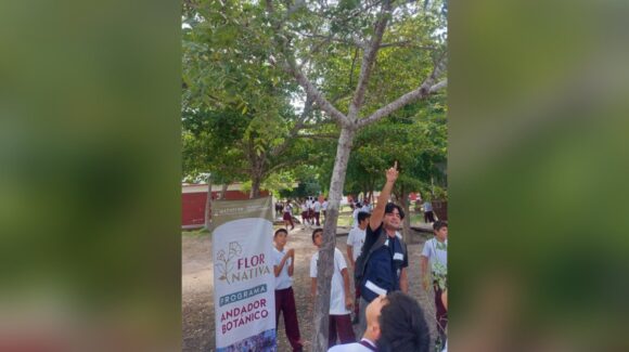 ‘Plantan conciencia’ dona 150 árboles nativos a secundaria en El Castillo de Mazatlán, Sinaloa