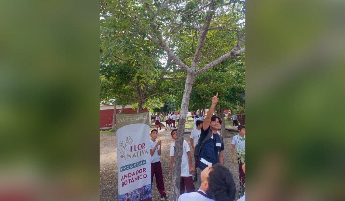 Donan árboles a secundaria de El Castillo, Mazatlán