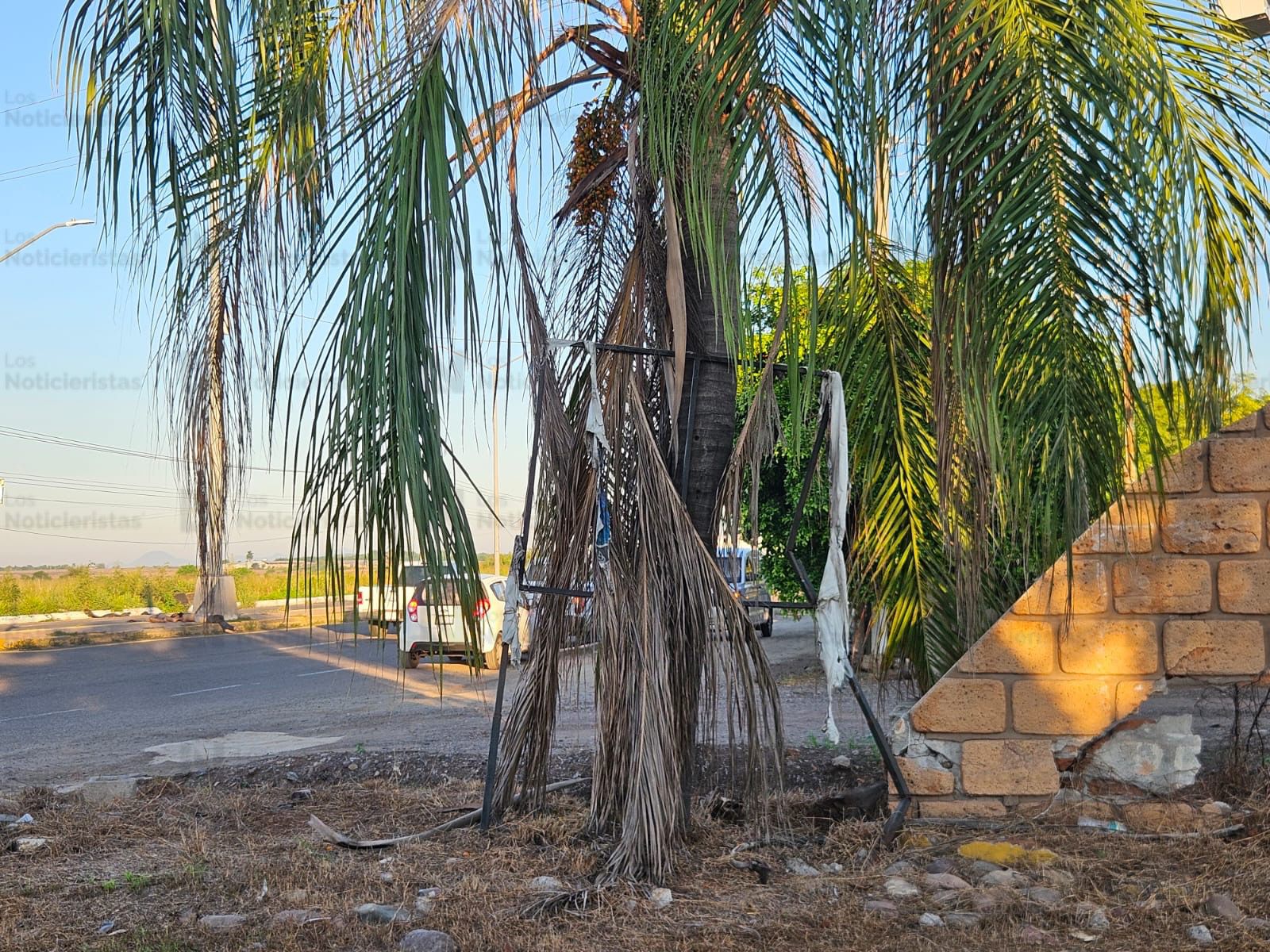 Hallazgo de dos ejecutados en Culiacán