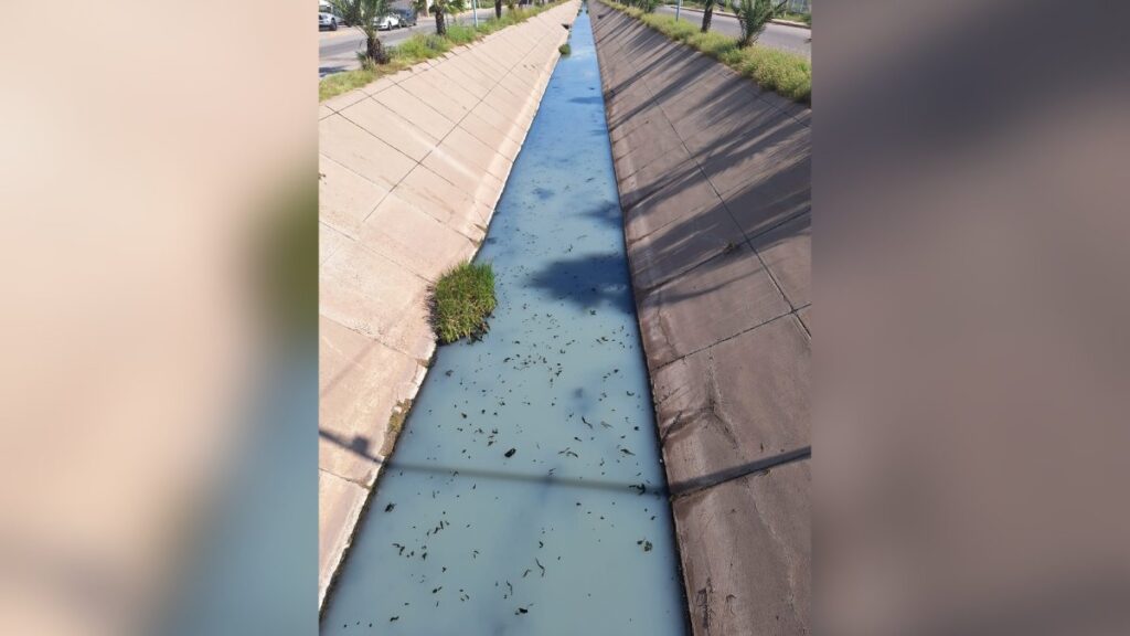 Dren Juárez en Los Mochis esta taponeado con basura y manglar