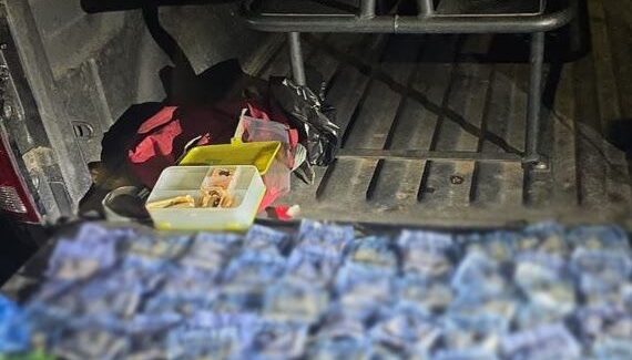 Aseguran diversas dosis de droga durante operativo en Mazatlán, Sinaloa