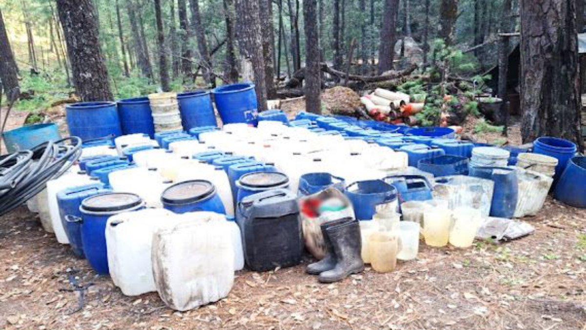 Elementos del Ejército Mexicano y la SSPC desmantelan narcolaboratorio en Badiraguato y Culiacán
