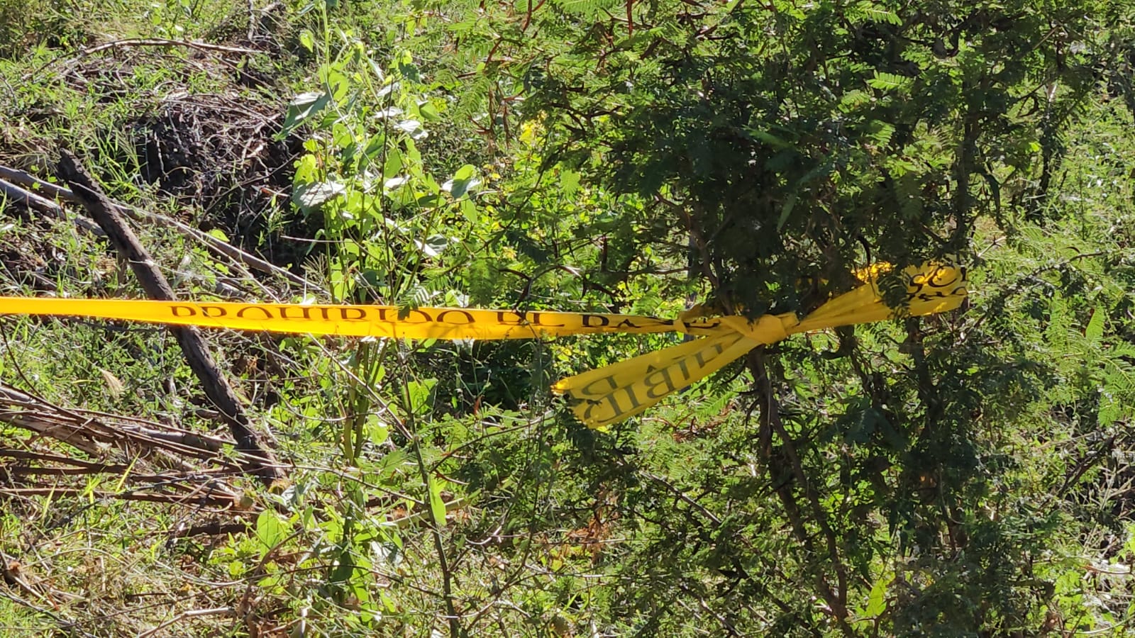 el cuerpo fue localizado por las madres rastreadoras en el alhuate
