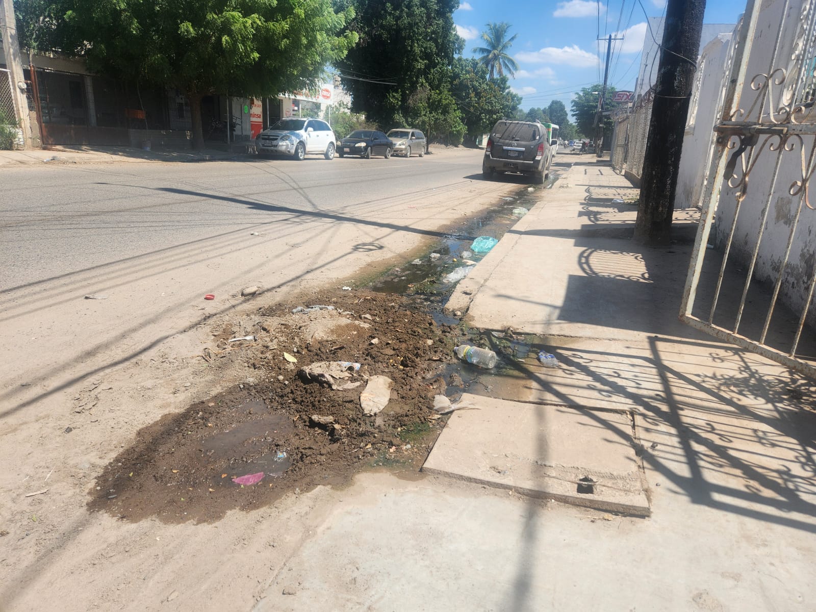 drenaje colapsado en guasave sinala lugar