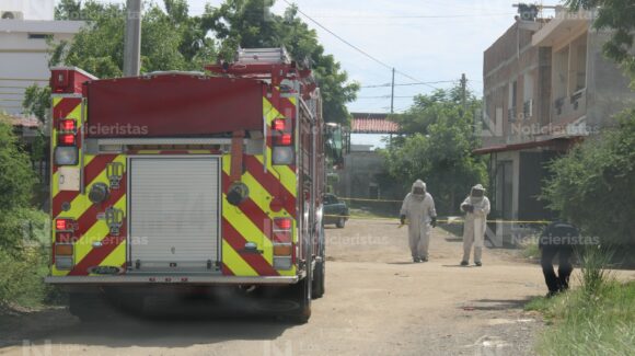 Mujer resulta lesionada tras ataque de enjambre de abejas en la colonia Valles de El Ejido en Mazatlán, Sinaloa