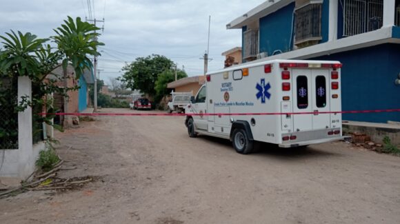 Alerta en Villa Unión, Mazatlán, Sinaloa por enjambre de abejas; atienden emergencia en la colonia Buena Vista