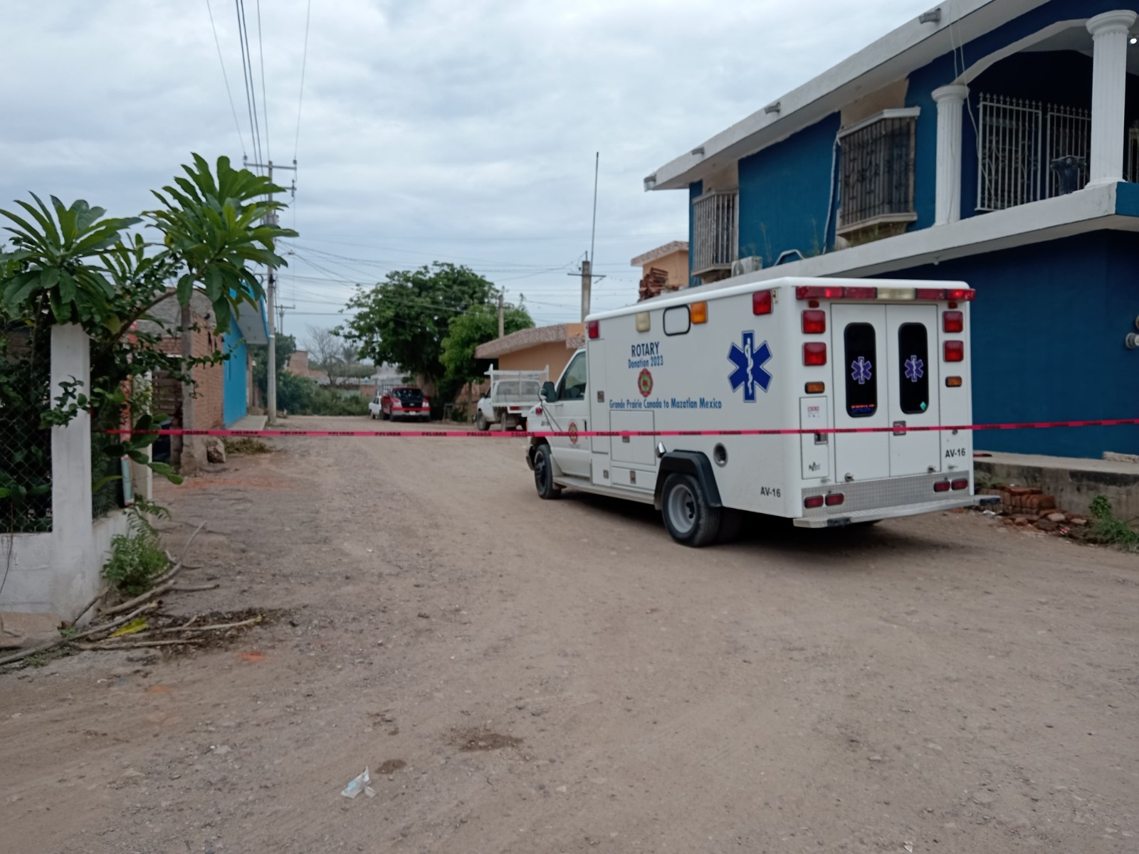 Alerta por enjambre de abejas en Villa Unión