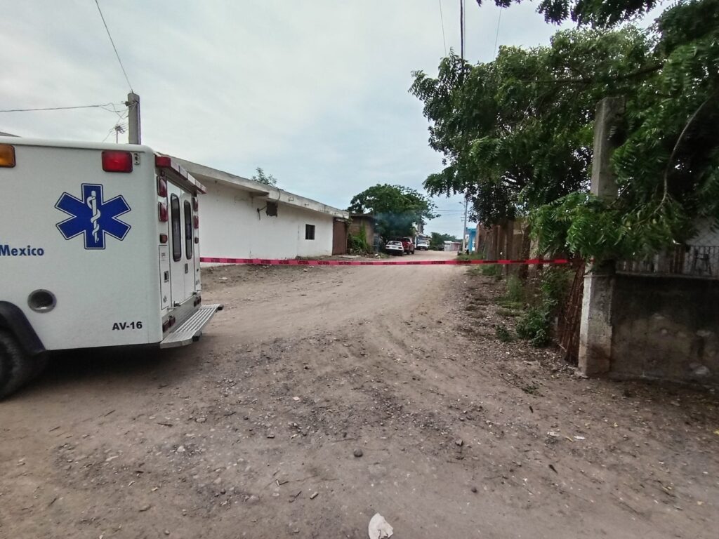 Alerta por enjambre de abejas en Villa Unión