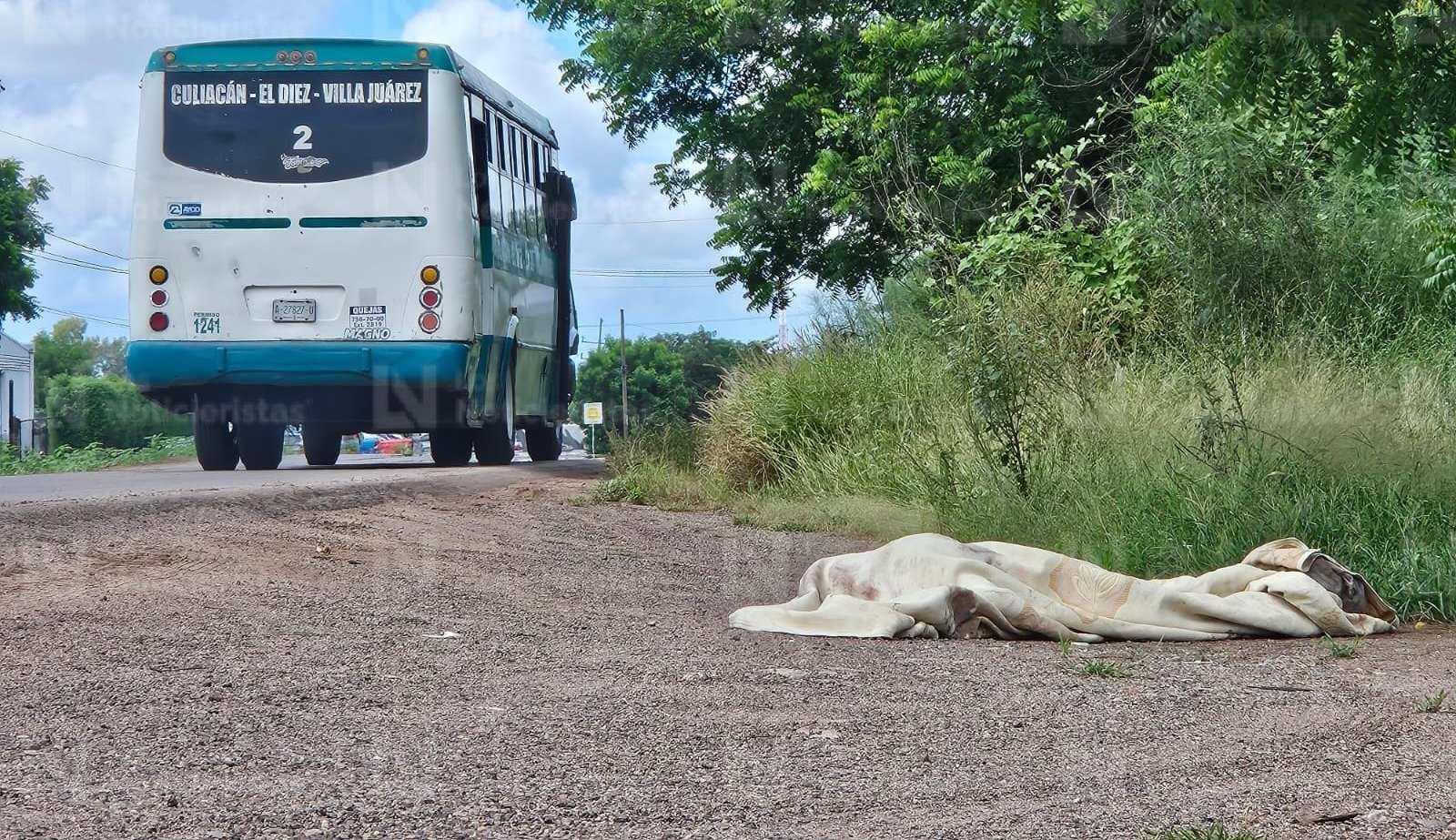 ensabanado en costa rica en culiacan sin