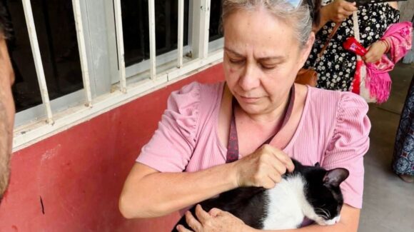 ¡Aprovecha! Este domingo habrá esterilización gratuita de perros y gatos en las instalaciones de Icatsin, Guasave, Sinaloa