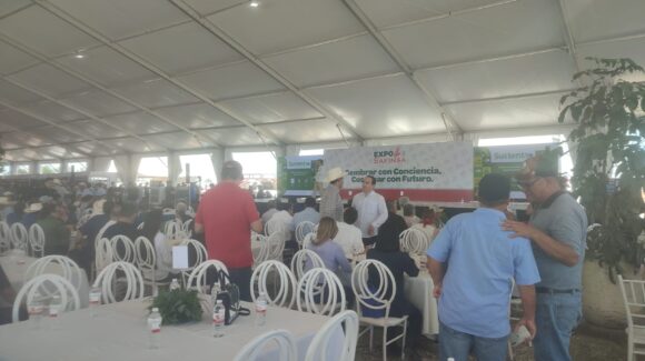 Alista FIRA esquema de créditos para los productores agrícolas que ayude amortizar sus gastos y afrontar grandes deudas