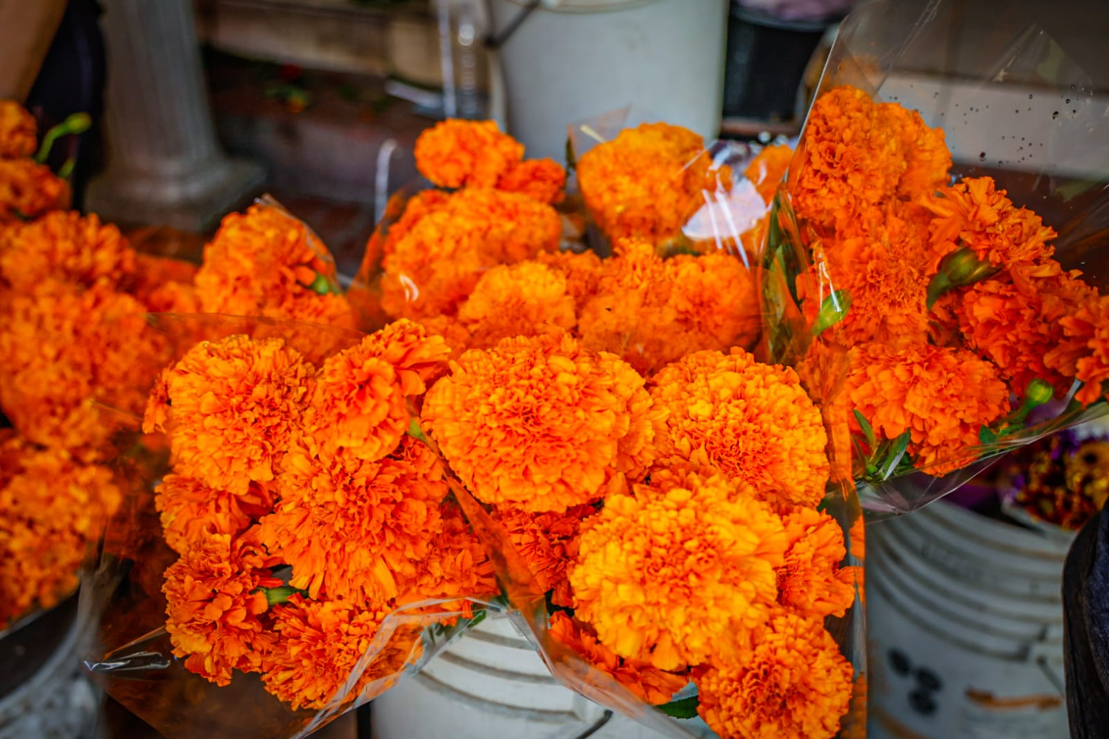 Venta de flores para el Día de Muertos
