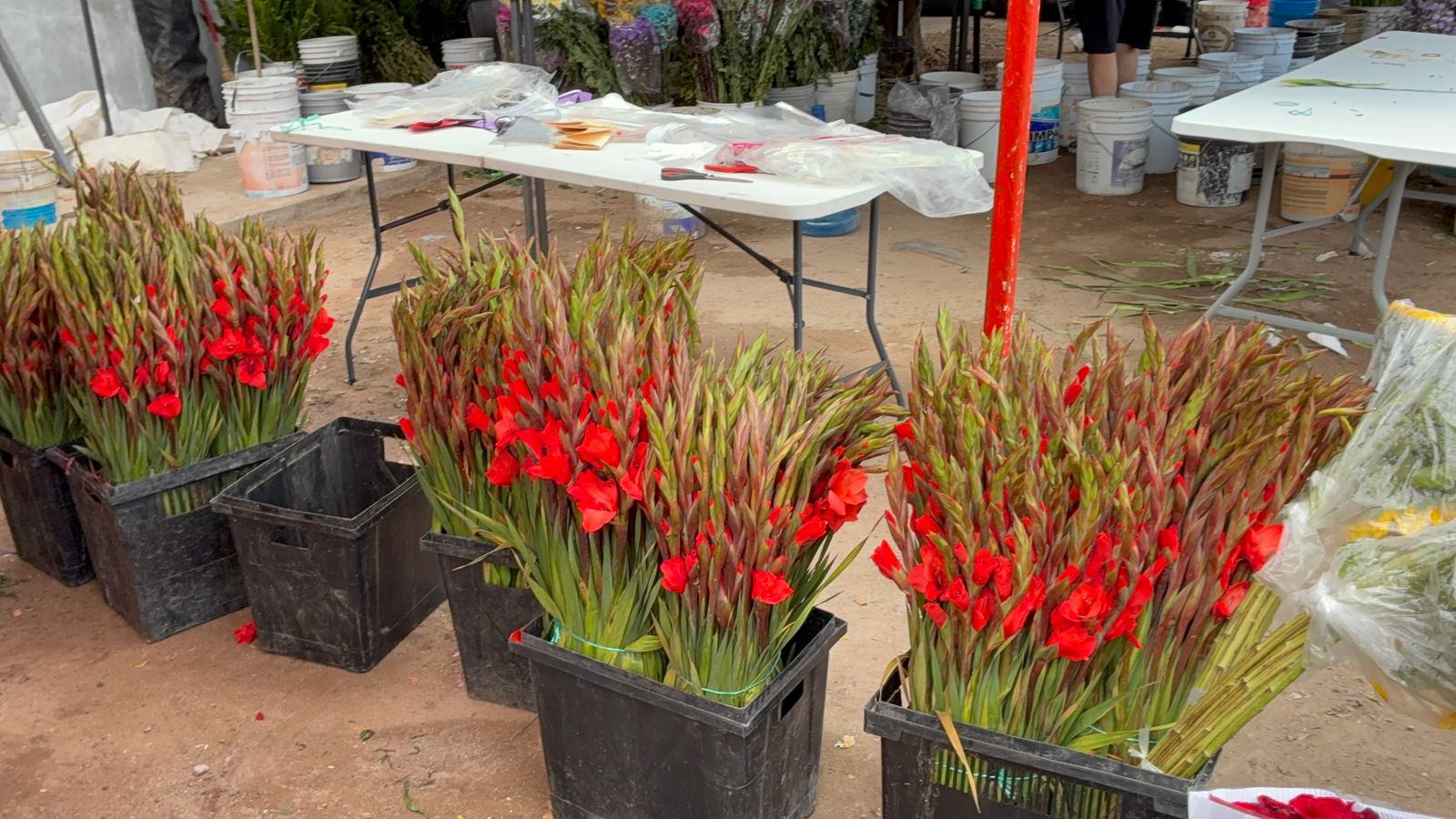 Venta de flores