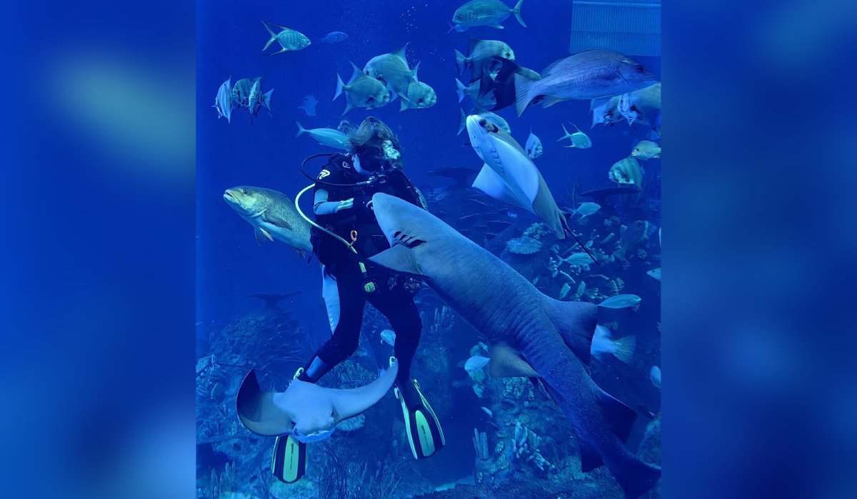 Acuario de Mazatlán, Sinaloa