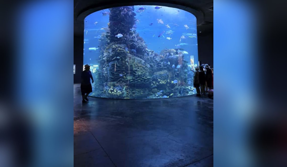 Acuario de Mazatlán, Sinaloa