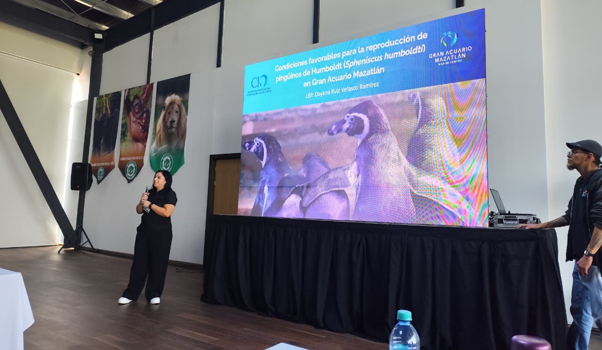 Gran Acuario Mazatlán destaca en Congreso Nacional de la Azcarm.
