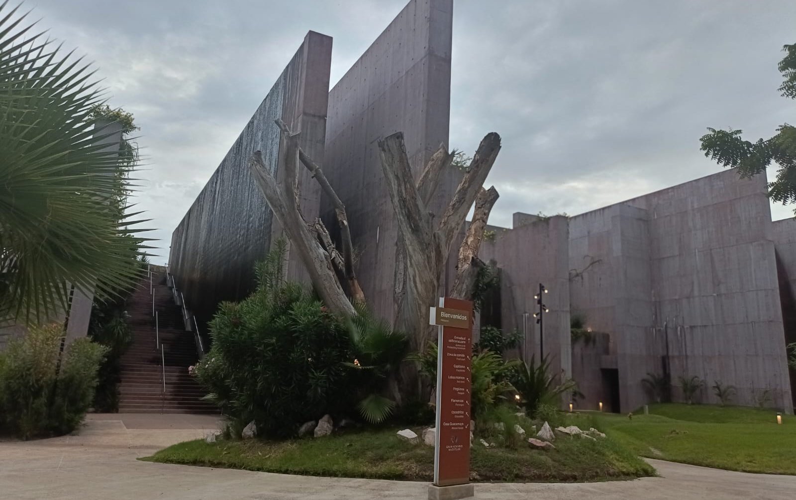 gran acuario mazatlan sinaloa aves en su santuario