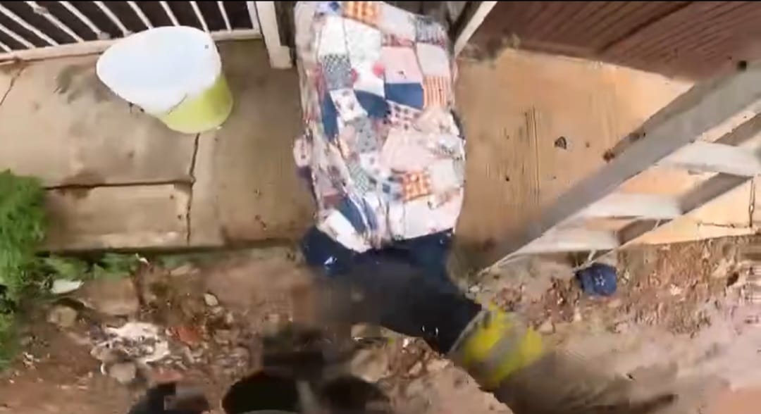 Hombre atacado por abejas en Mazatlán, Sinaloa
