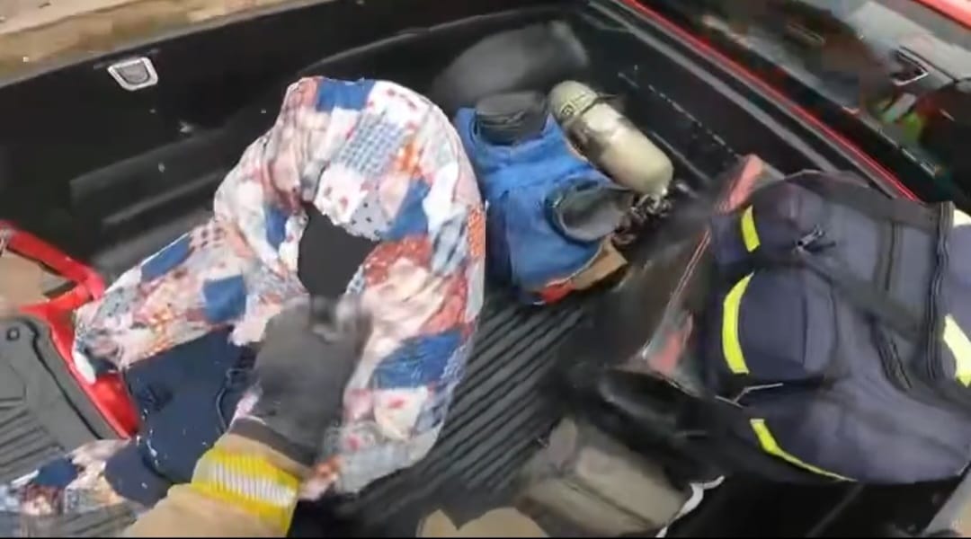 Hombre atacado por abejas en Mazatlán, Sinaloa