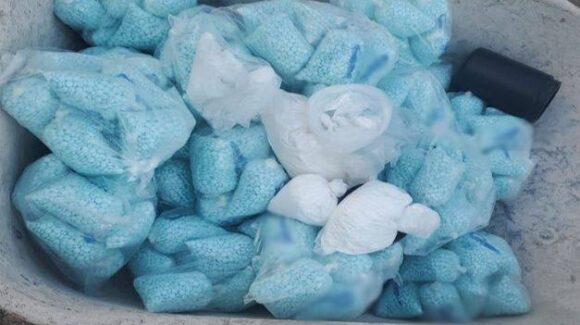 Harfuch reporta importante y millonario decomiso de 211 mil pastillas de fentanilo y narcolaboratorio en Culiacán y Cosalá