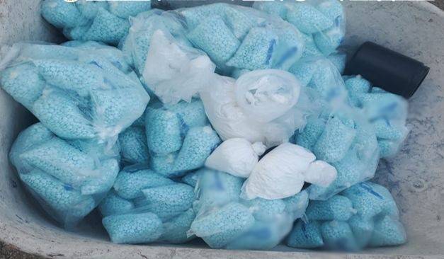 importante golpe al narcotrafico reporta la SSPE