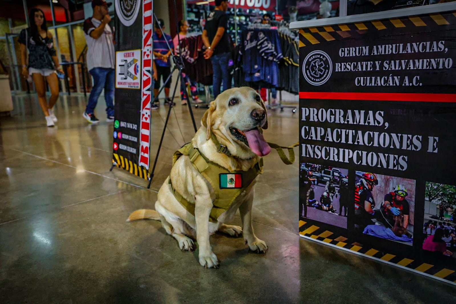 Inauguran la Liga Mexicana del Pacífico en el estadio de Tomateros de Culiacán