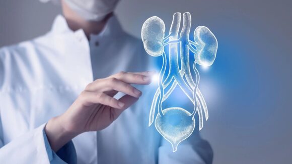 Infecciones urinarias ¿Cuáles son sus causas y cómo prevenirlas?