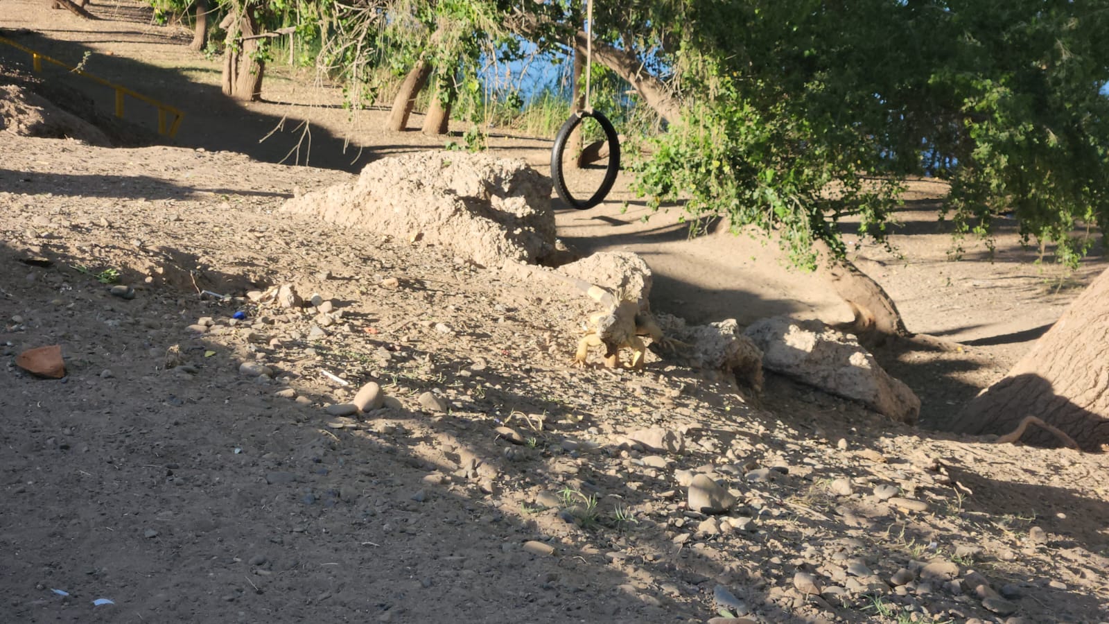 la dama del vado en guasave sinaloa