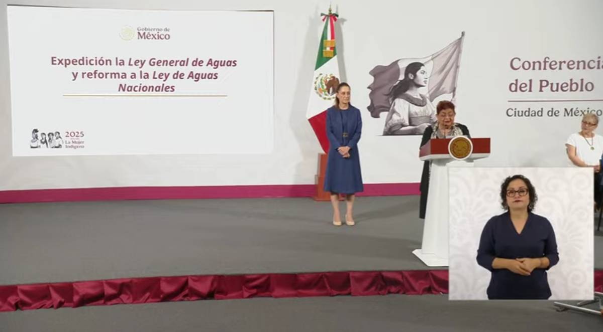 ley general de agua ernestina godoy
