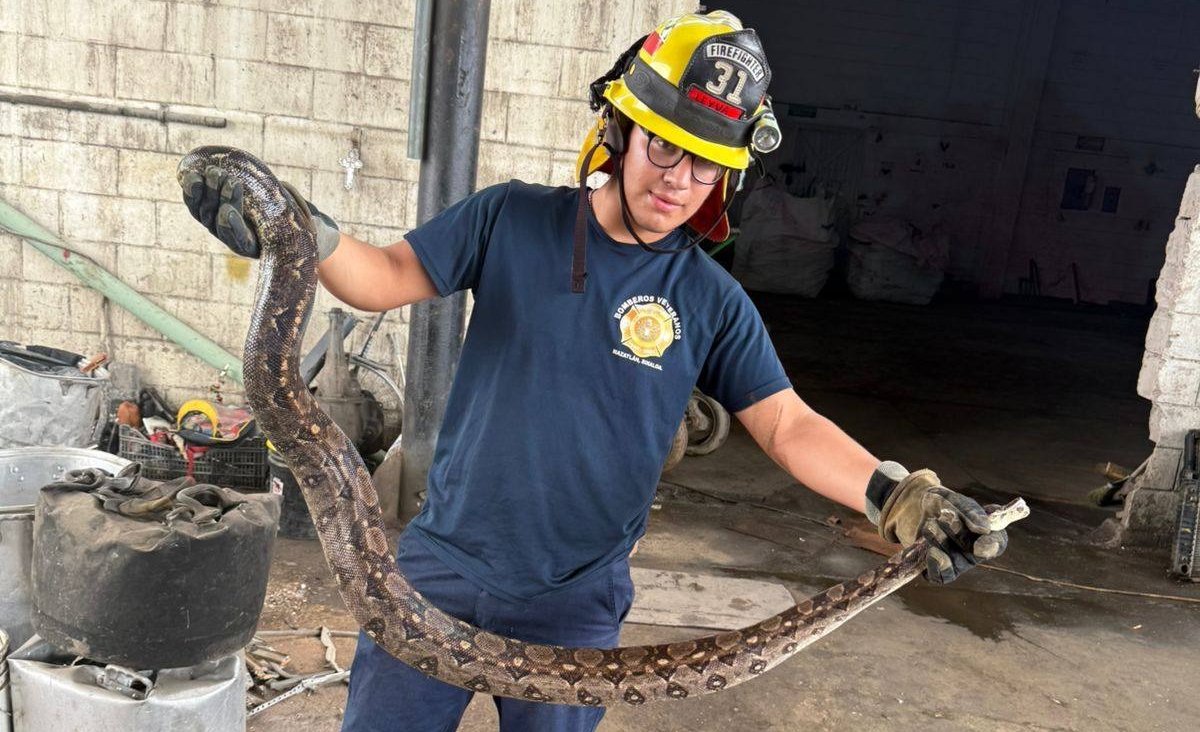 limacoa en negocio de metales en mazatlan
