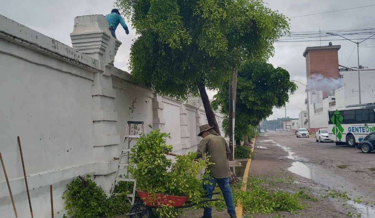 Limpieza de panteones en Mazatlán, Sinaloa
