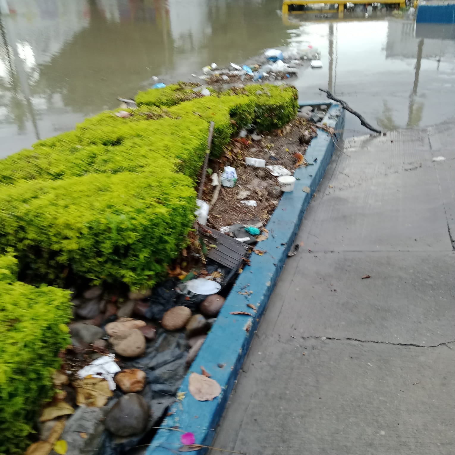 Limpieza en Mazatlán tras lluvias