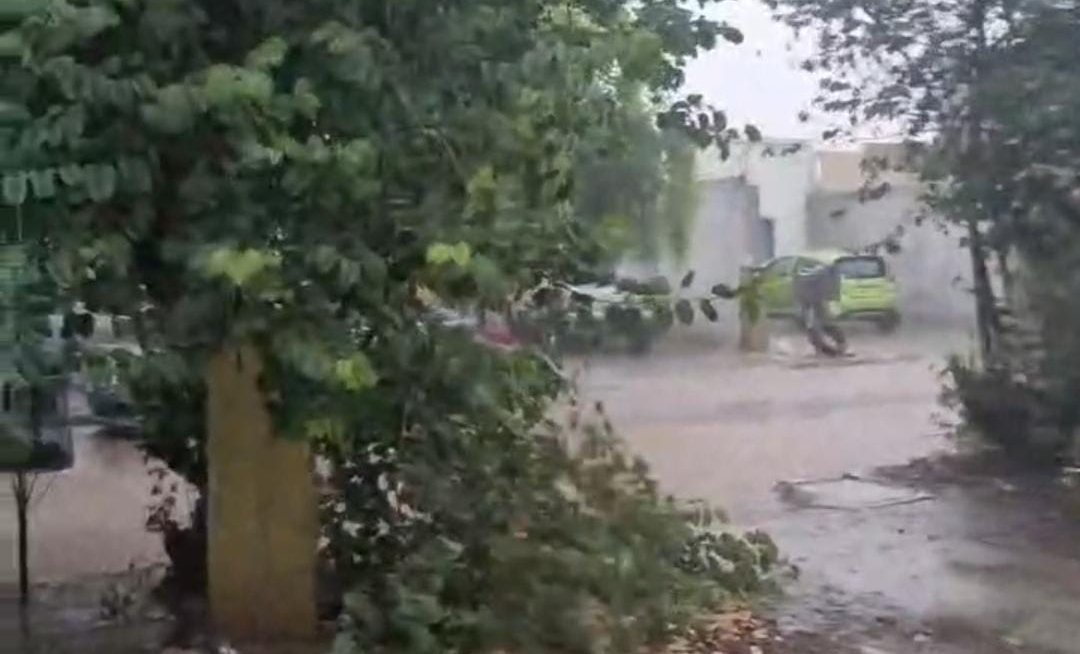 lluvias registradas en guasave sinaloa